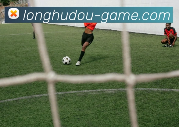 龙虎斗游戏品牌故事