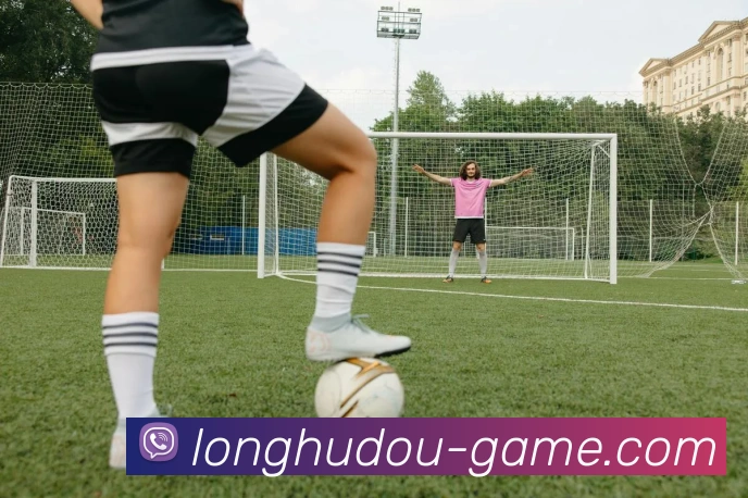 龙虎斗游戏服务体系